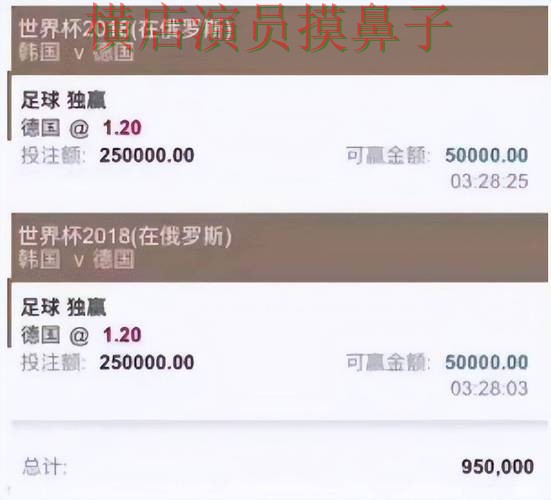 新手必看：世界杯投注平台访问方式详解 + 世界杯赛事中心