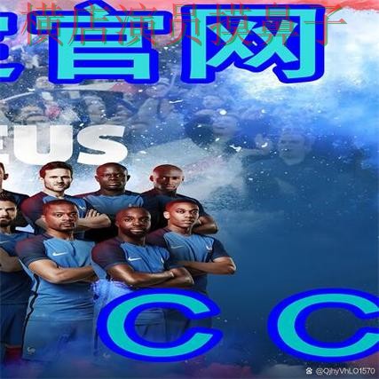 解析世界杯买球网站：从用户反馈到使用全流程解析 - 世界杯全球总决赛