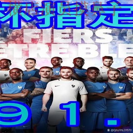 解析世界杯买球网站：从用户反馈到使用全流程解析 - 世界杯全球总决赛